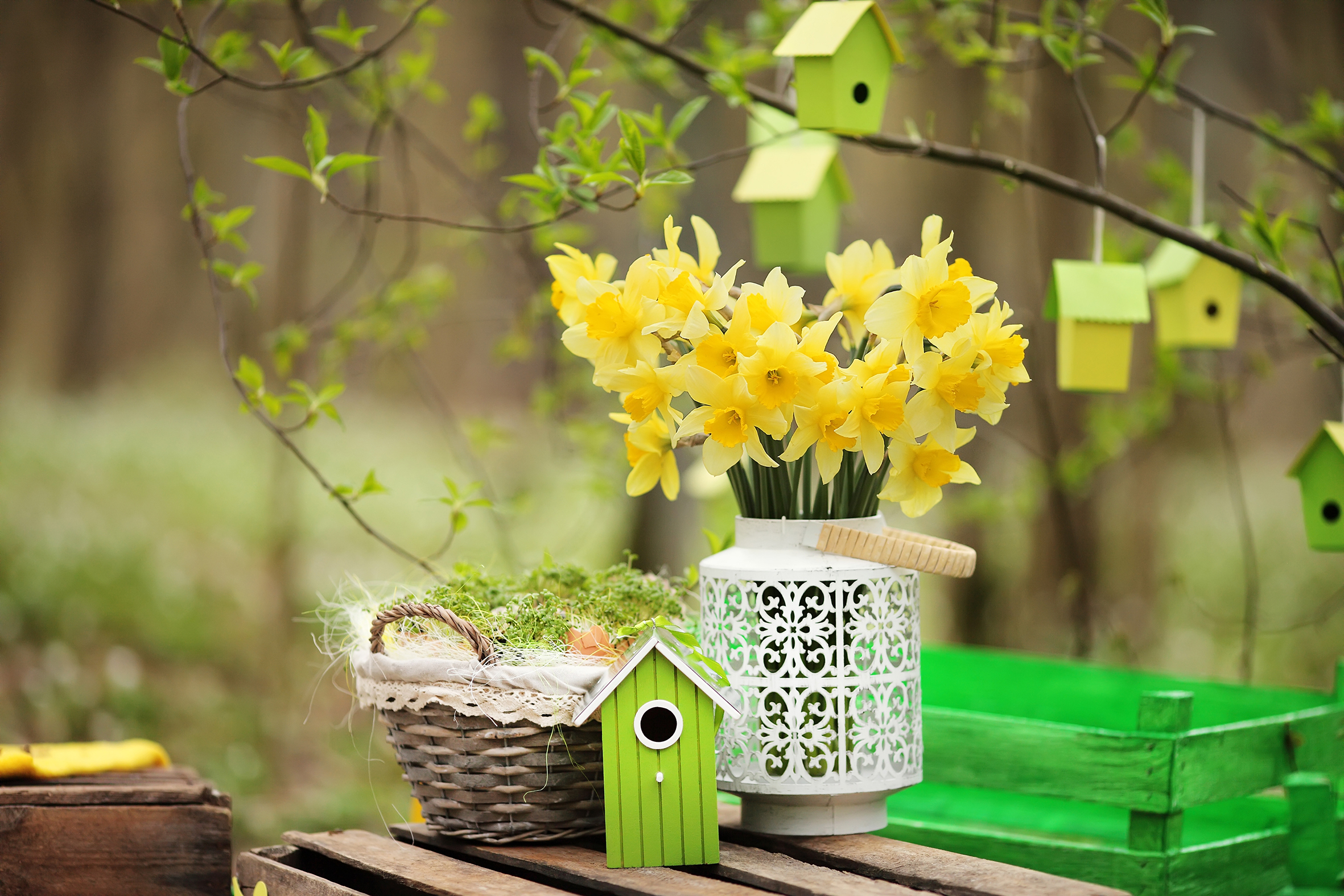 Schöne Windlichter als Outdoor-Blumenvasen. Sollte noch keine gläserne Kerzenhalterung vorhanden sein, können Sie zum Bewässern der Blumen ein Glas hineinstellen.