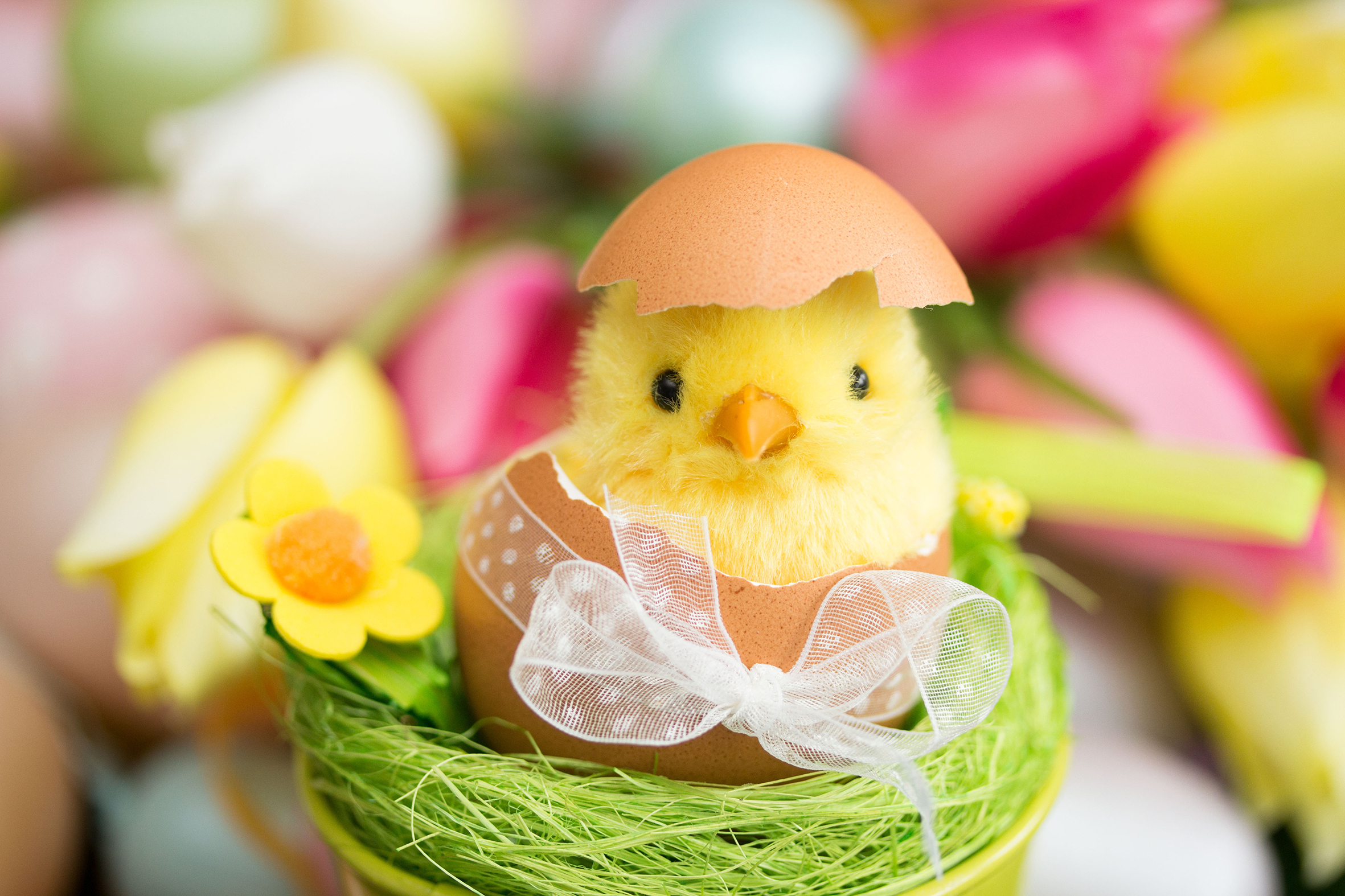 Der Klassiker zu Ostern: Hasen und Küken. Da Sie sich aber schlecht lebende Küken auf den Tisch setzen können, versuchen Sie es doch mal mit einem solchen Plüsch-Küken. In einer leeren Eierschale untergebracht gibt das einen süßen Effekt und bringt eine Menge Osterstimmung mit sich.