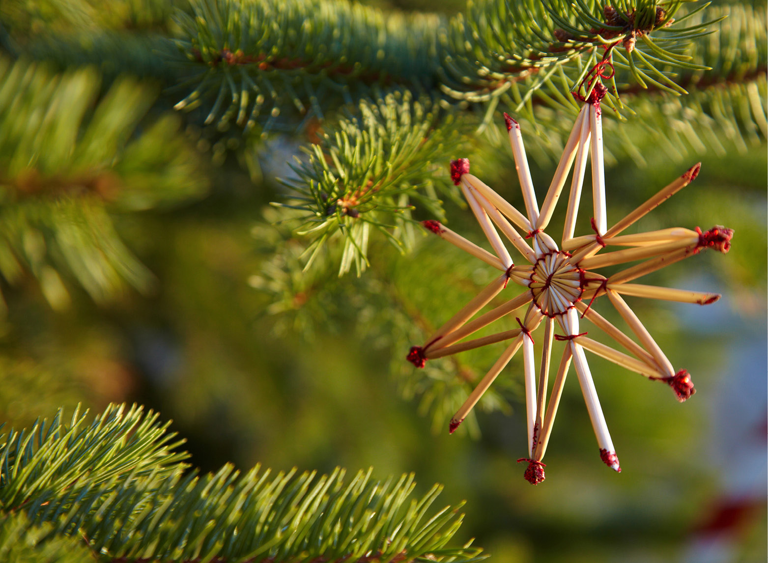 Weihnachtsstern aus Streichhölzern.