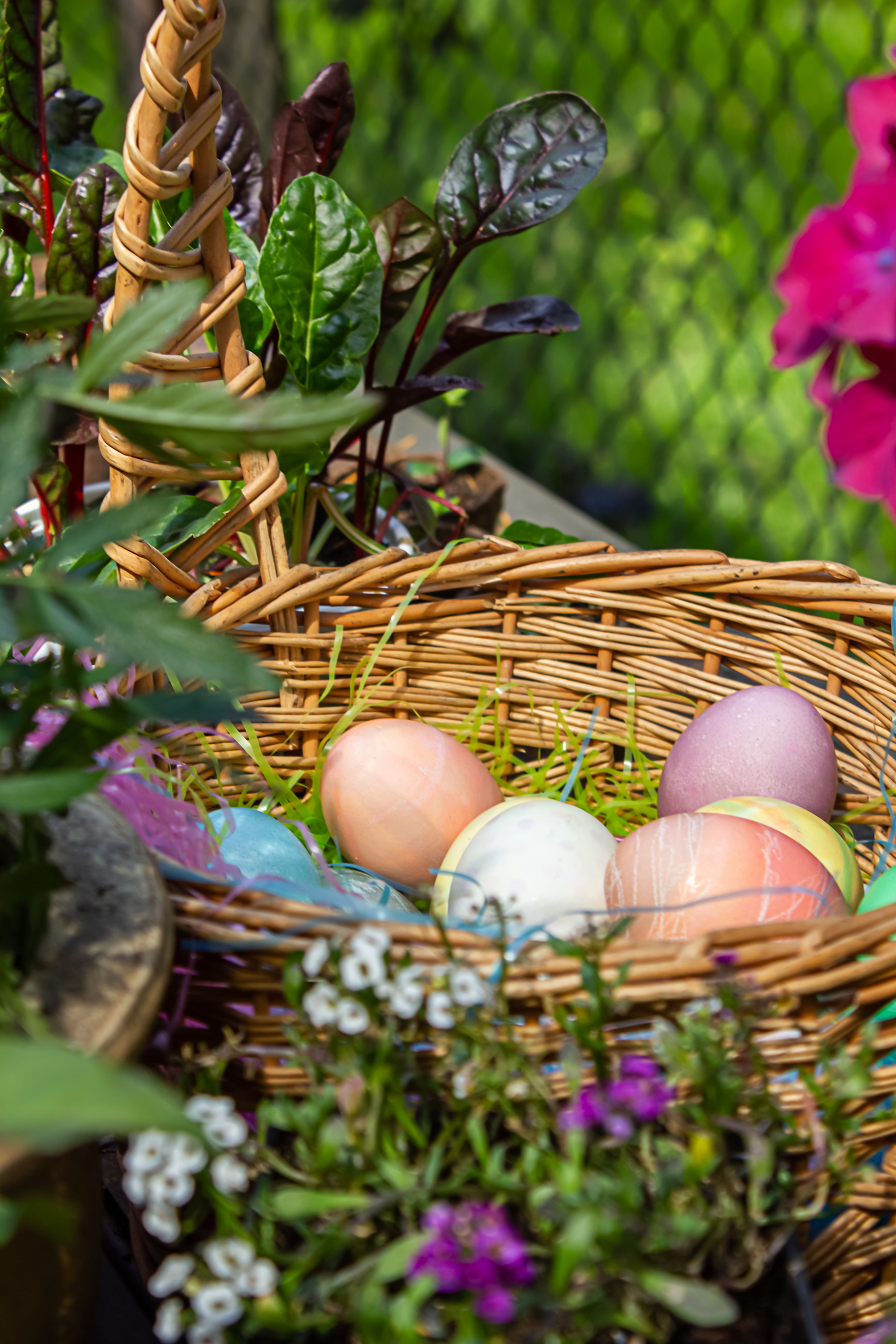 Weidenkörbchen gefüllt mit bunten Ostereiern machen sich im Blumenbeet auch ganz wunderbar.
