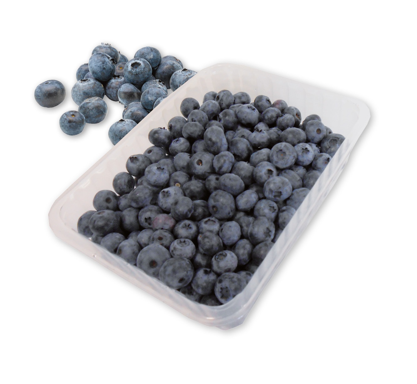 Heidelbeeren