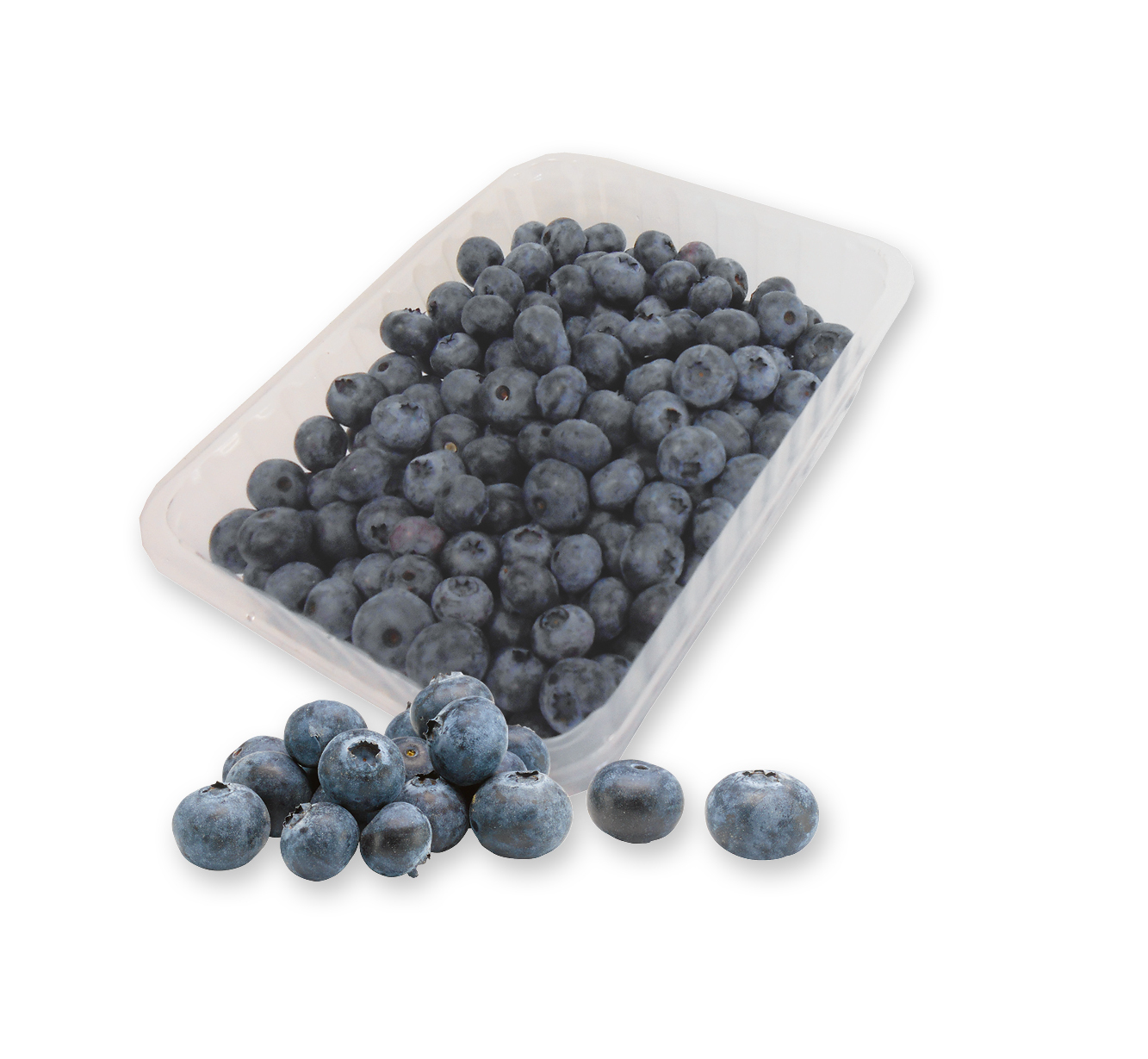 ‍‍Heidelbeeren