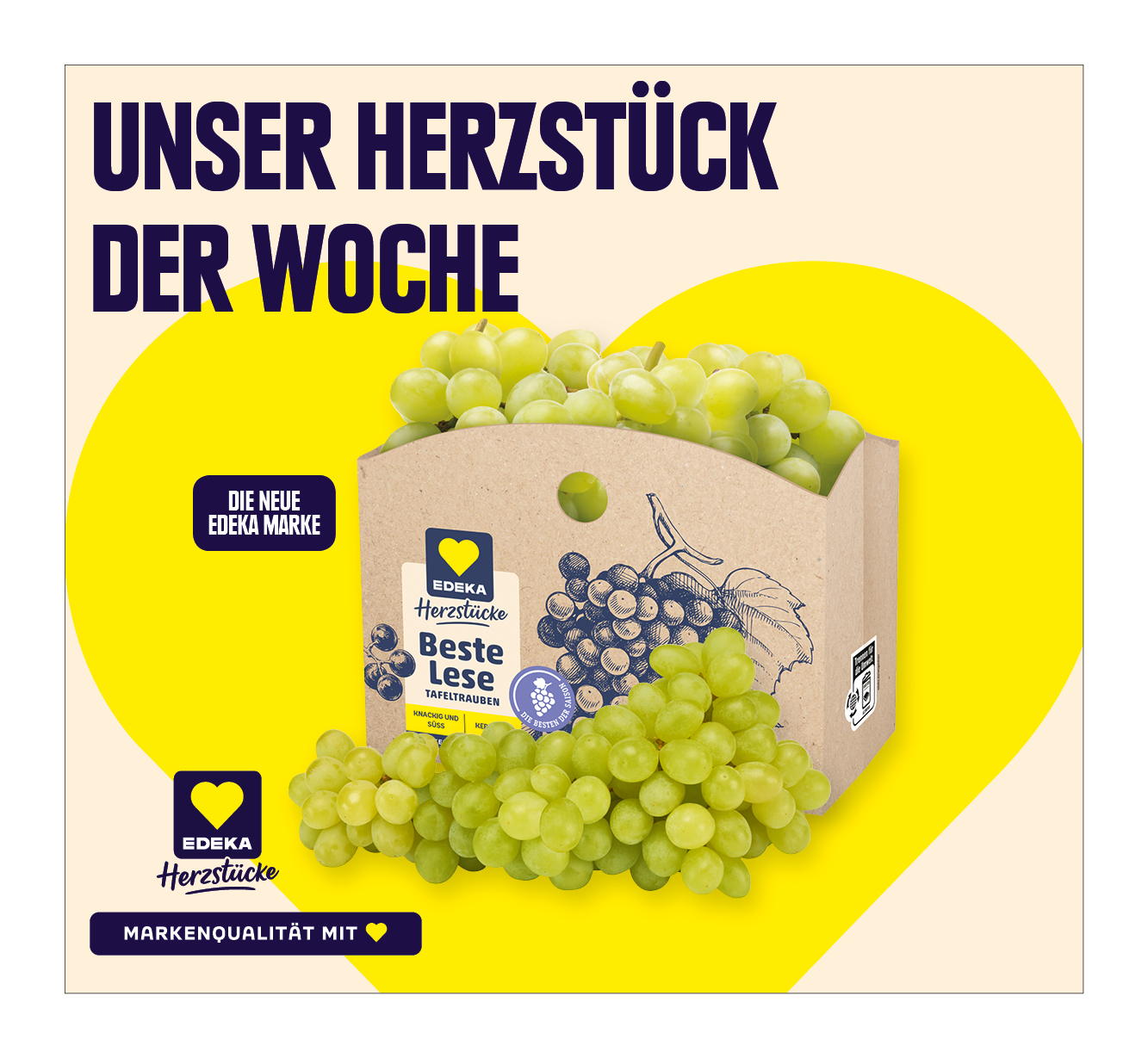 EDEKA Herzstücke Beste Lese Tafeltrauben hell