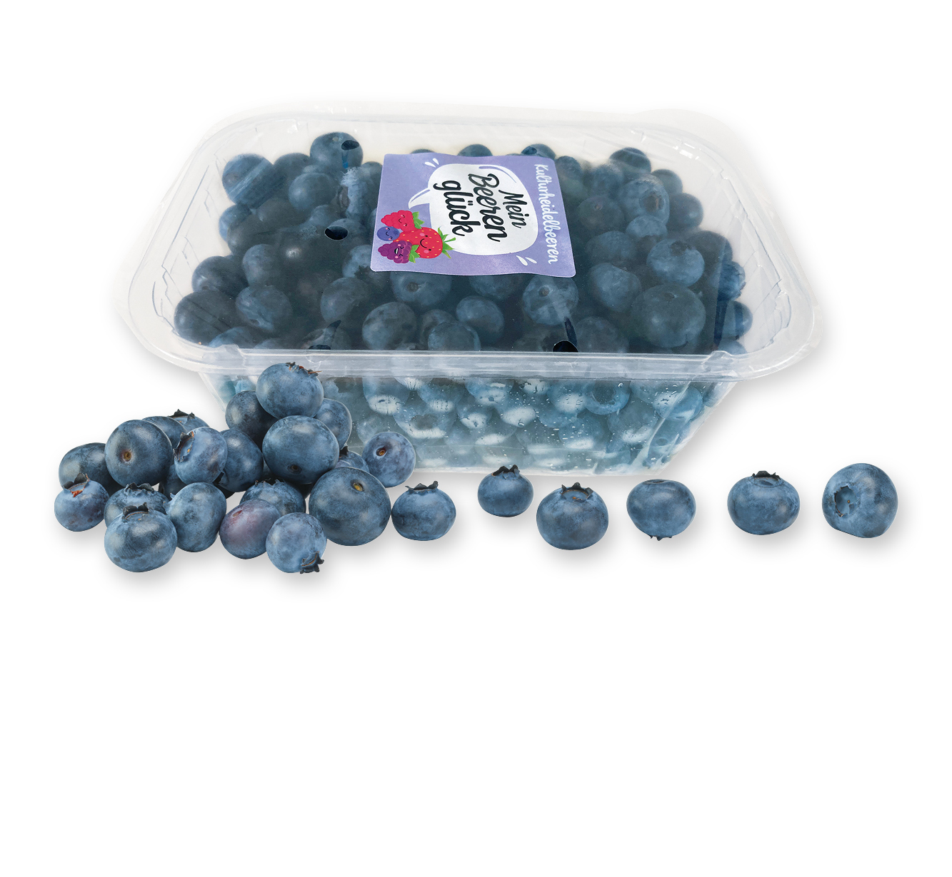 Mein Beerenglück Heidelbeeren