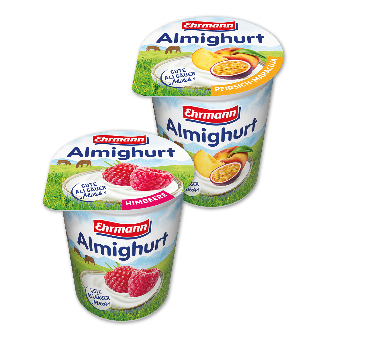 Ehrmann‍ ‍Almighurt