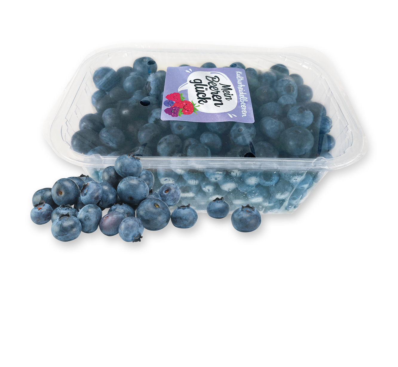 Mein Beerenglück Heidelbeeren