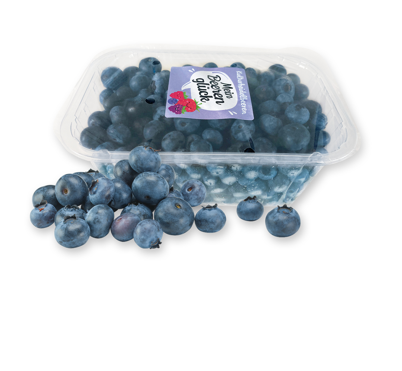 Mein Beerenglück Heidelbeeren